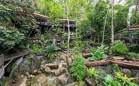 Rock And Tree House Resort